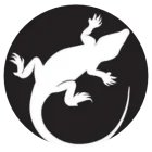 logo salamandra okoko